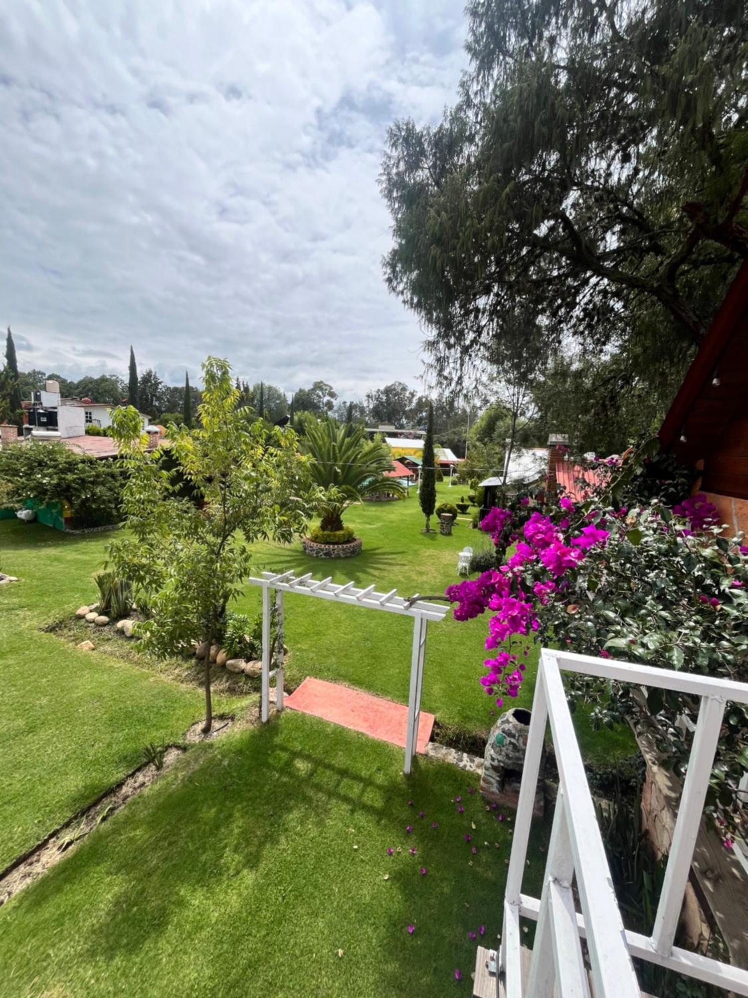 Cabanas Cumbres De Aguacatitla Huasca de Ocampo Extérieur photo