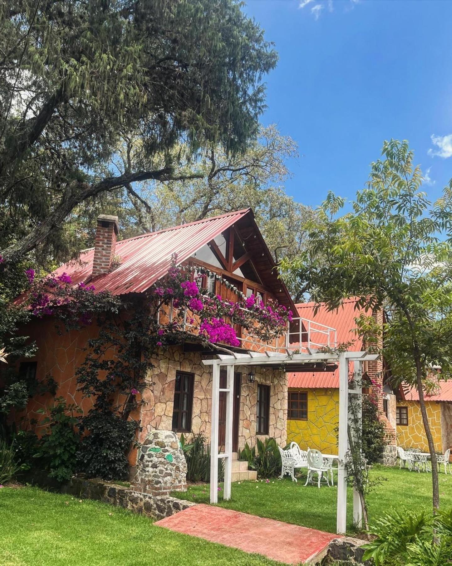 Cabanas Cumbres De Aguacatitla Huasca de Ocampo Extérieur photo