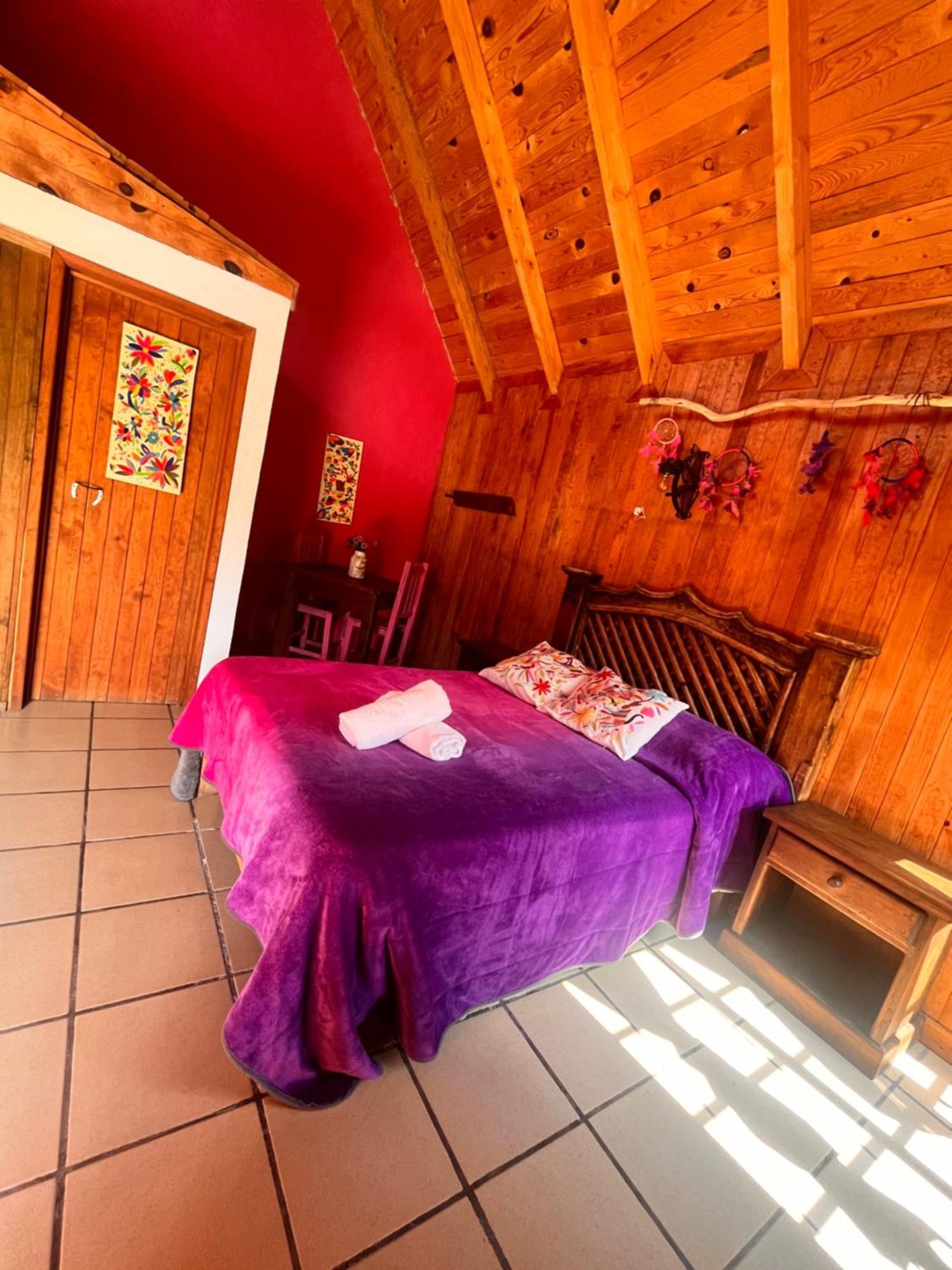 Cabanas Cumbres De Aguacatitla Huasca de Ocampo Extérieur photo