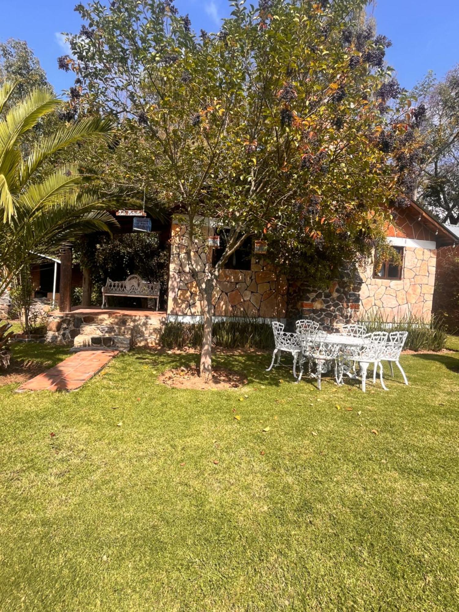 Cabanas Cumbres De Aguacatitla Huasca de Ocampo Extérieur photo