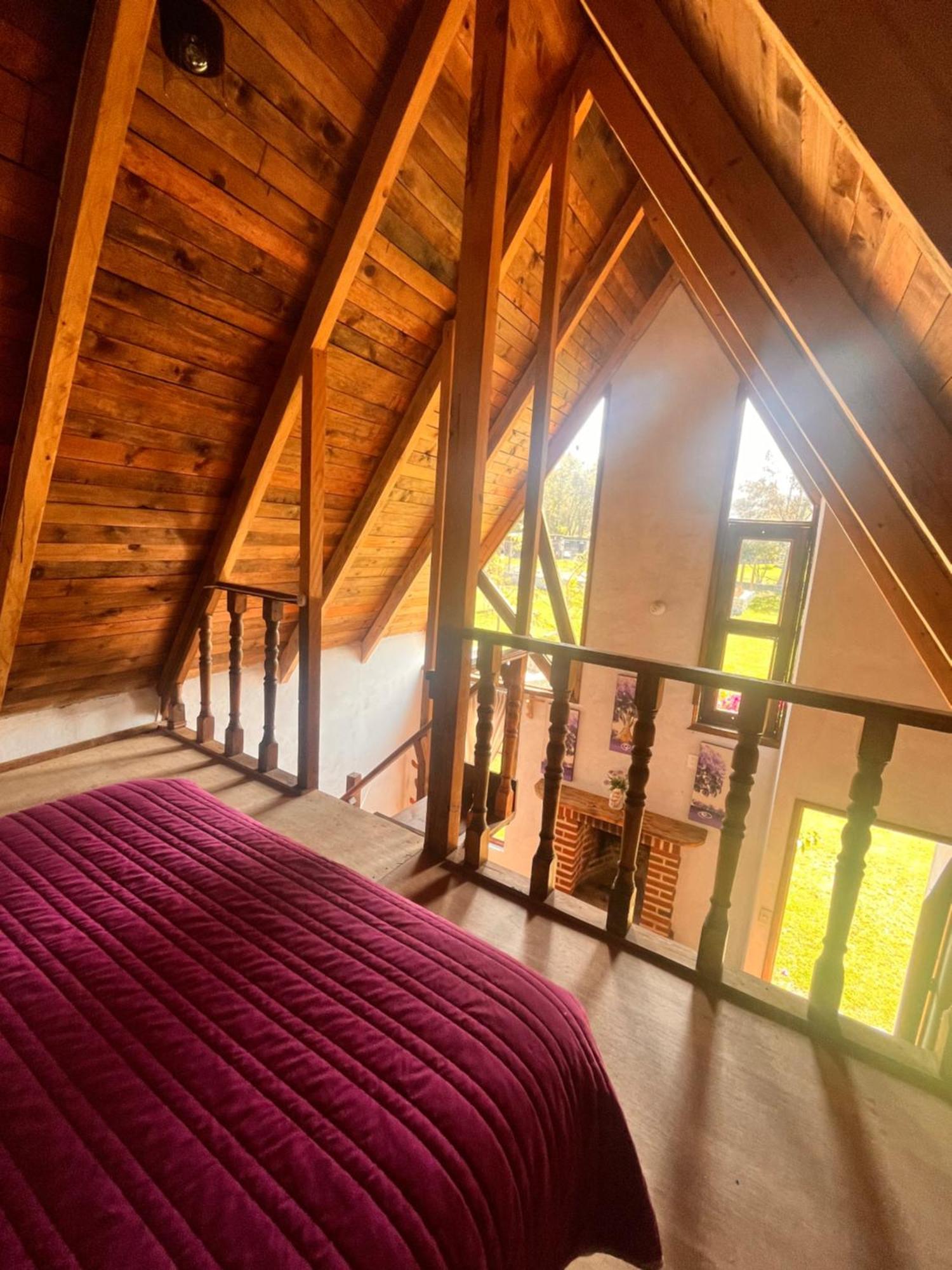 Cabanas Cumbres De Aguacatitla Huasca de Ocampo Extérieur photo