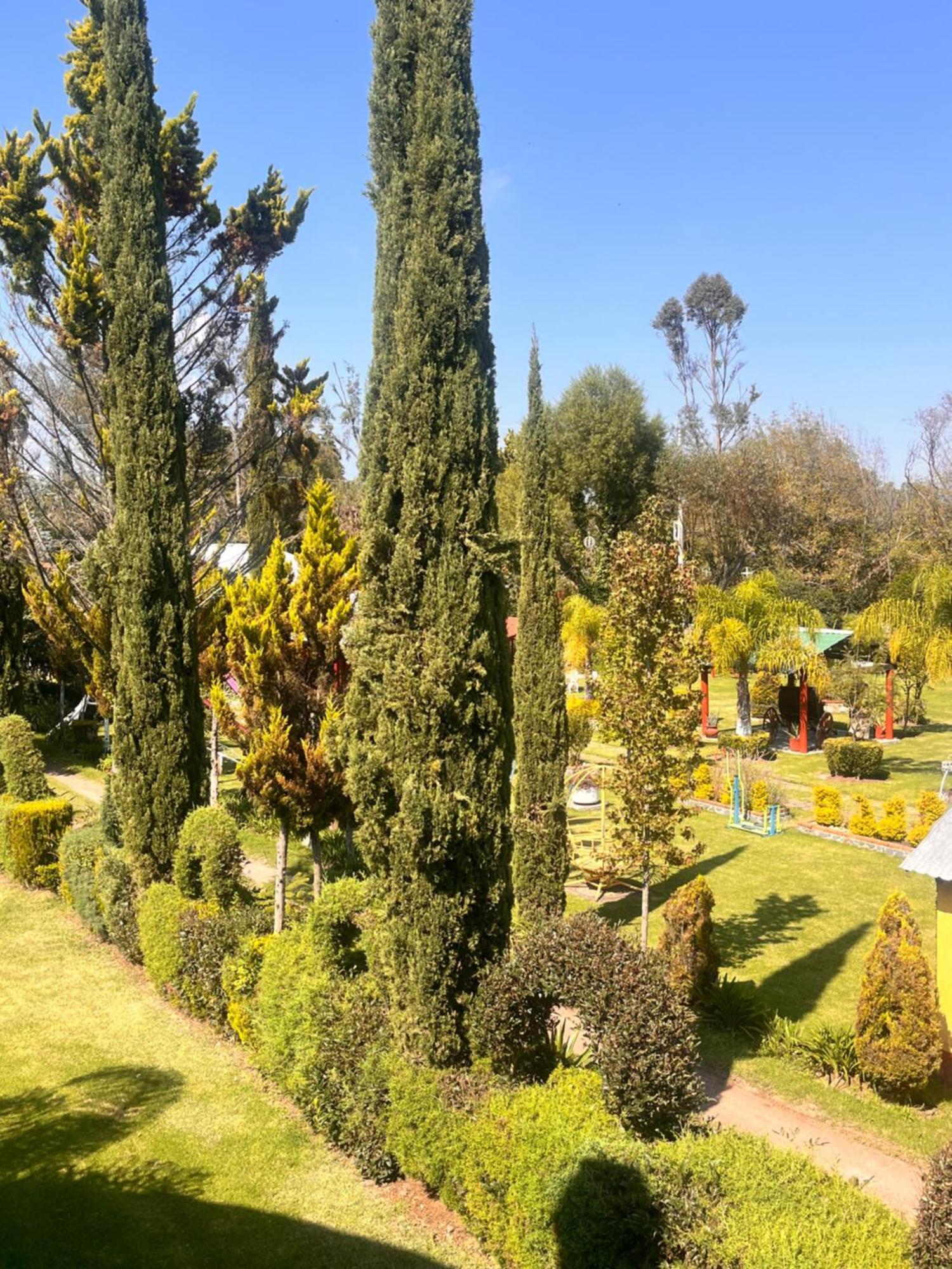 Cabanas Cumbres De Aguacatitla Huasca de Ocampo Extérieur photo