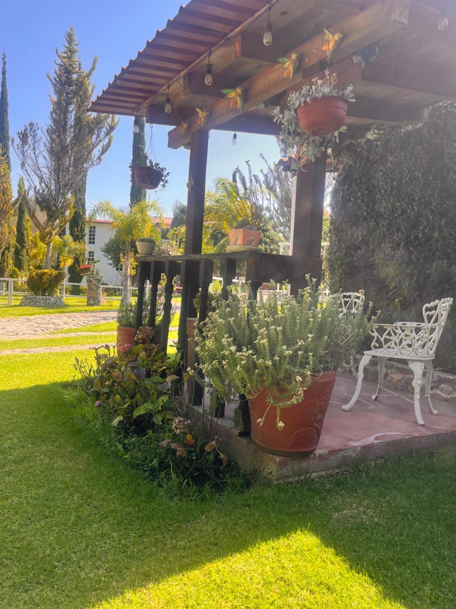 Cabanas Cumbres De Aguacatitla Huasca de Ocampo Extérieur photo