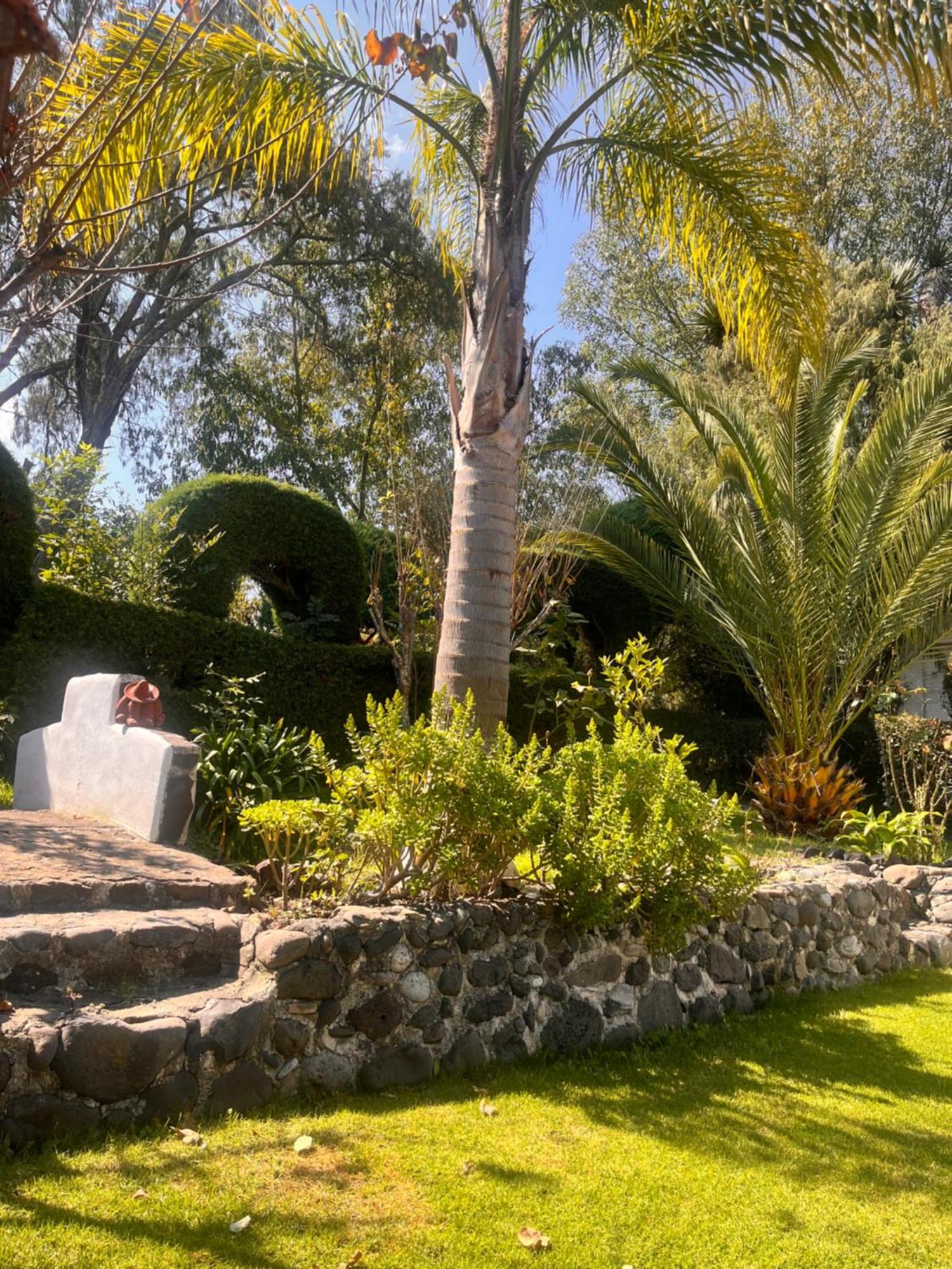 Cabanas Cumbres De Aguacatitla Huasca de Ocampo Extérieur photo