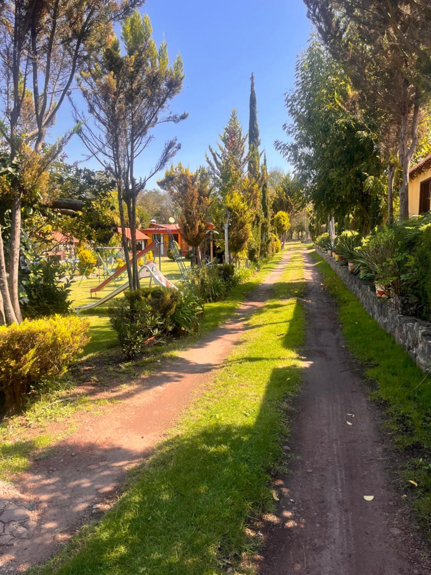 Cabanas Cumbres De Aguacatitla Huasca de Ocampo Extérieur photo