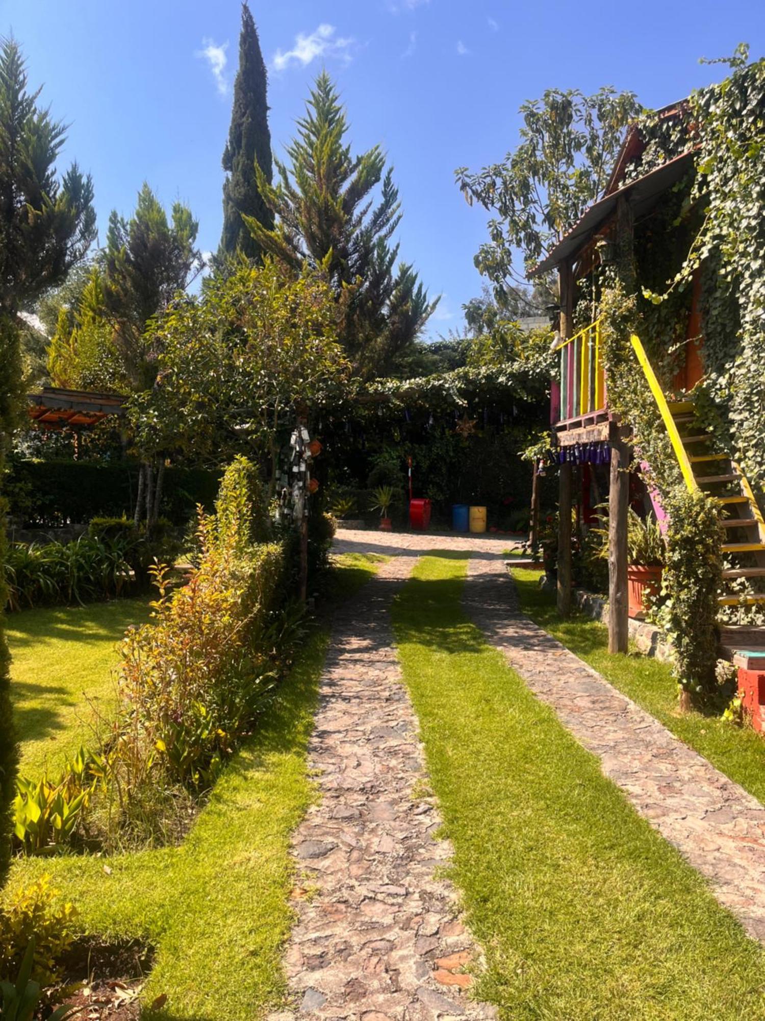 Cabanas Cumbres De Aguacatitla Huasca de Ocampo Extérieur photo