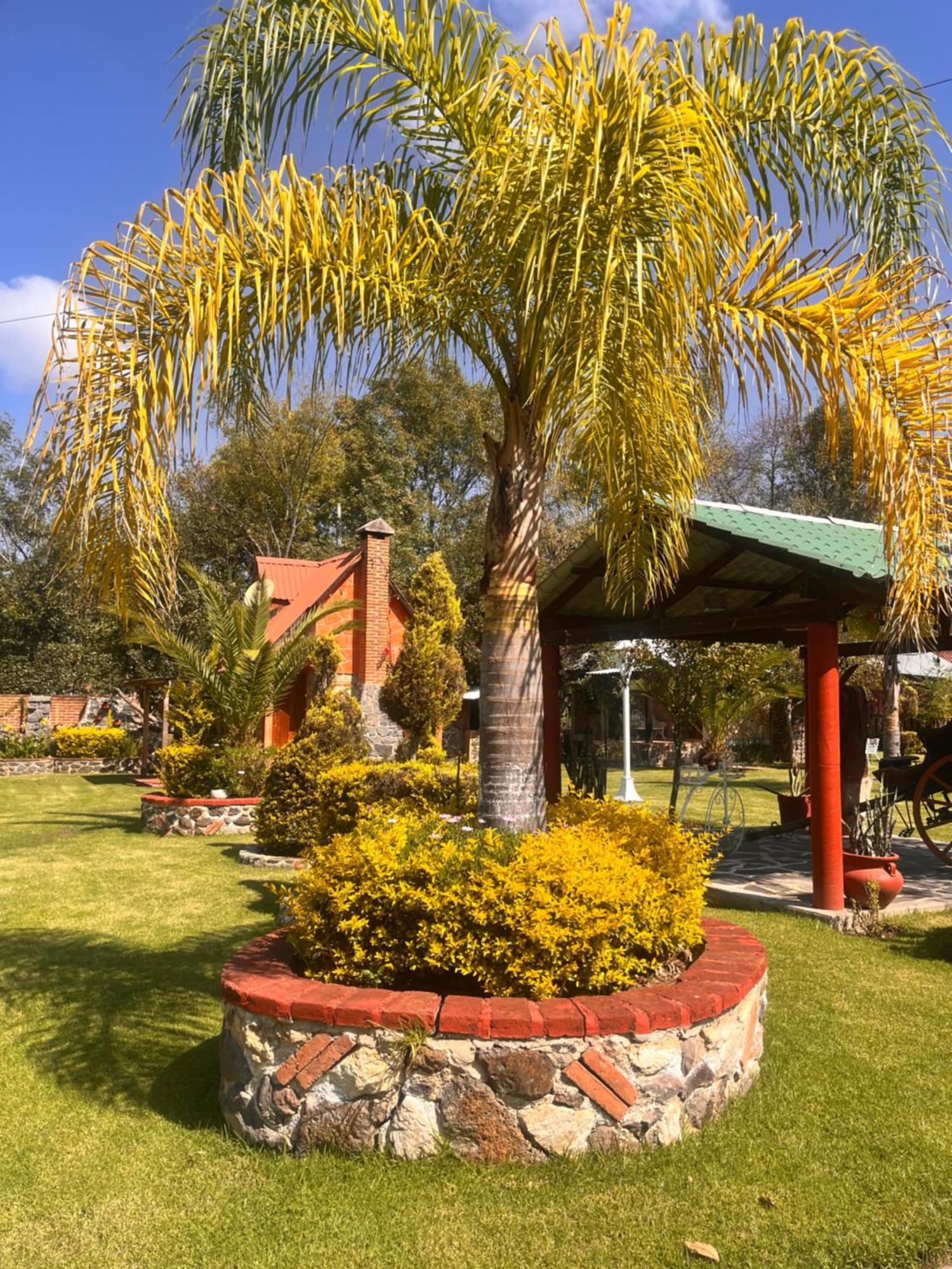 Cabanas Cumbres De Aguacatitla Huasca de Ocampo Extérieur photo