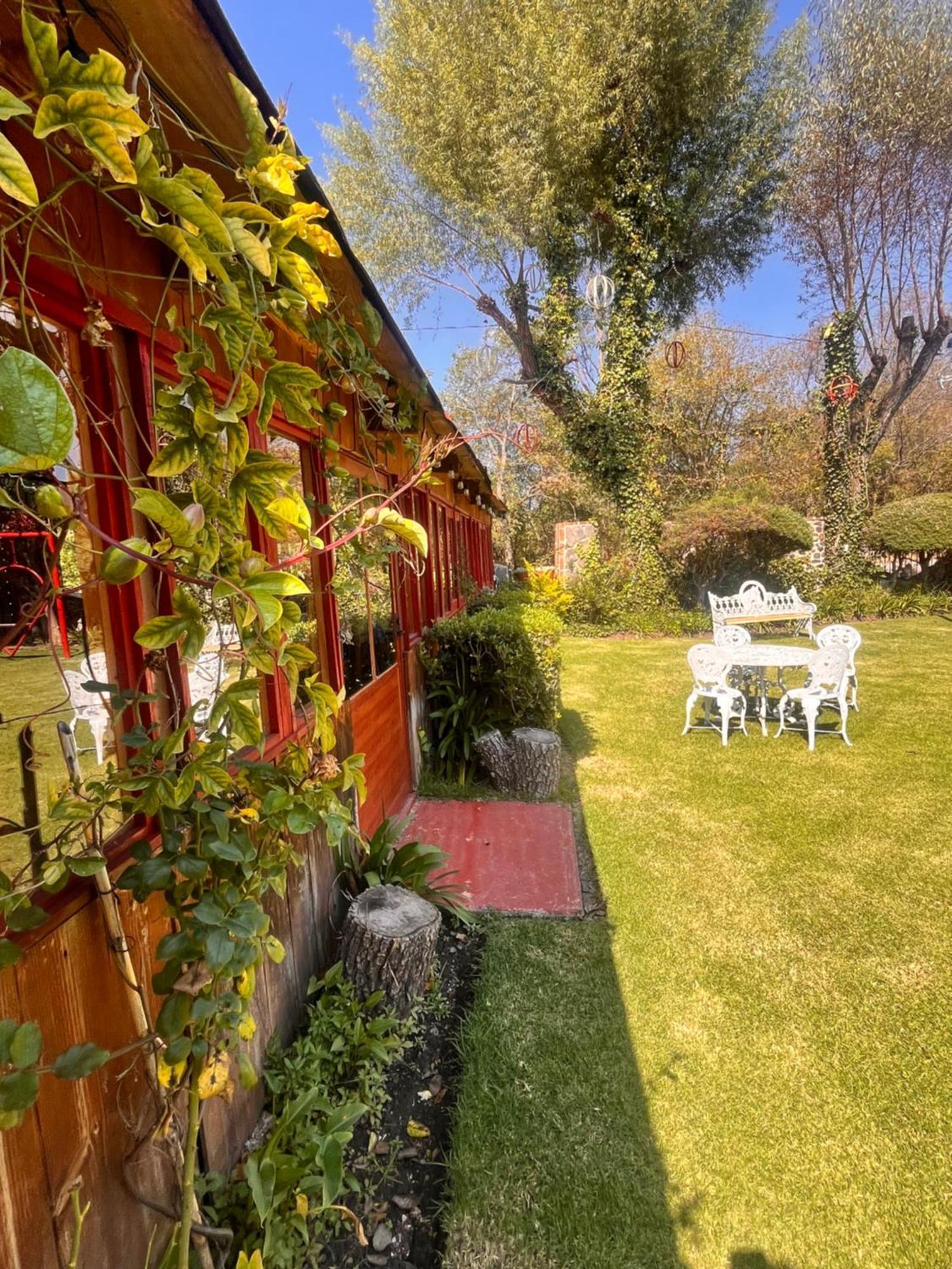 Cabanas Cumbres De Aguacatitla Huasca de Ocampo Extérieur photo
