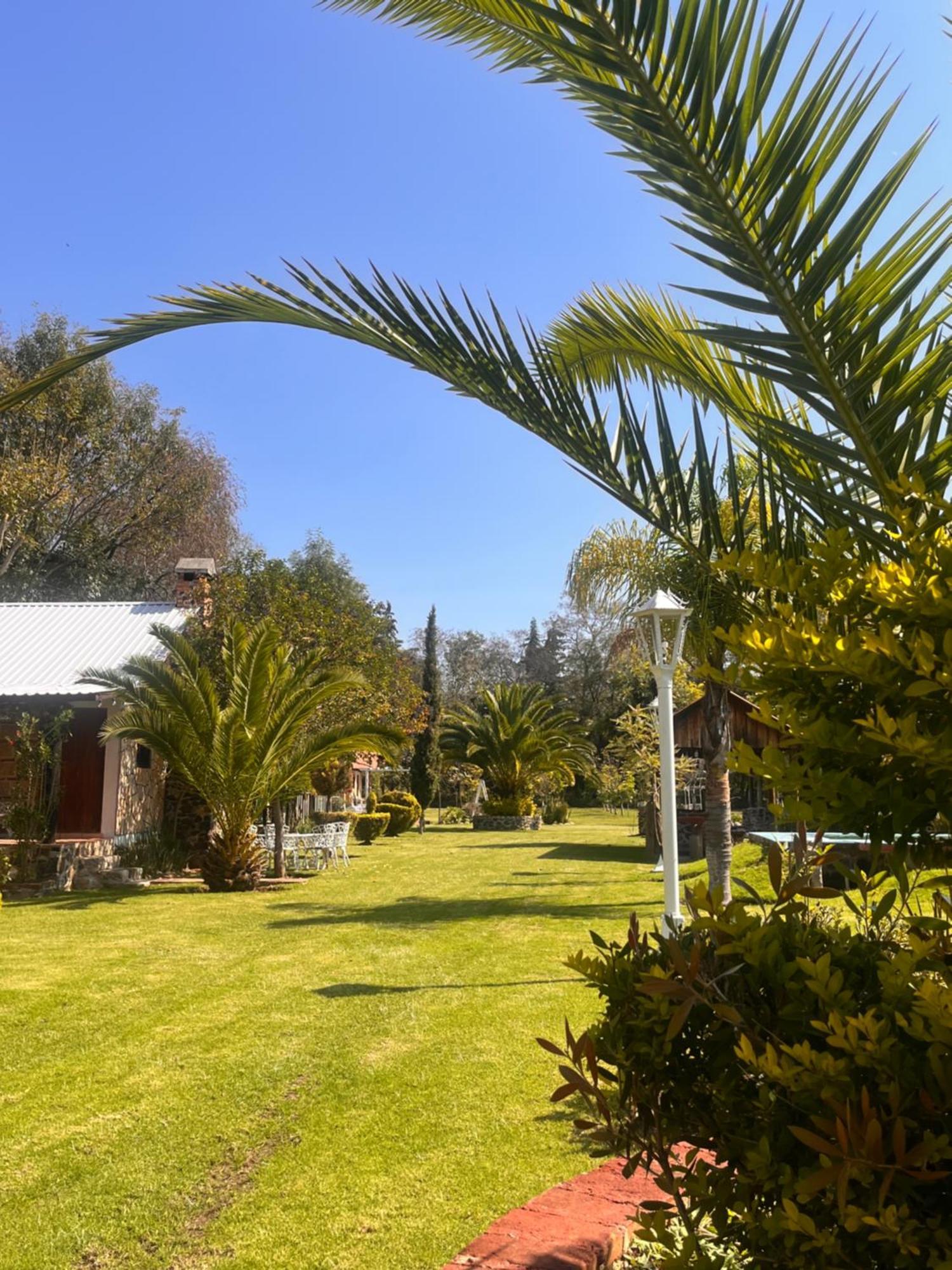 Cabanas Cumbres De Aguacatitla Huasca de Ocampo Extérieur photo