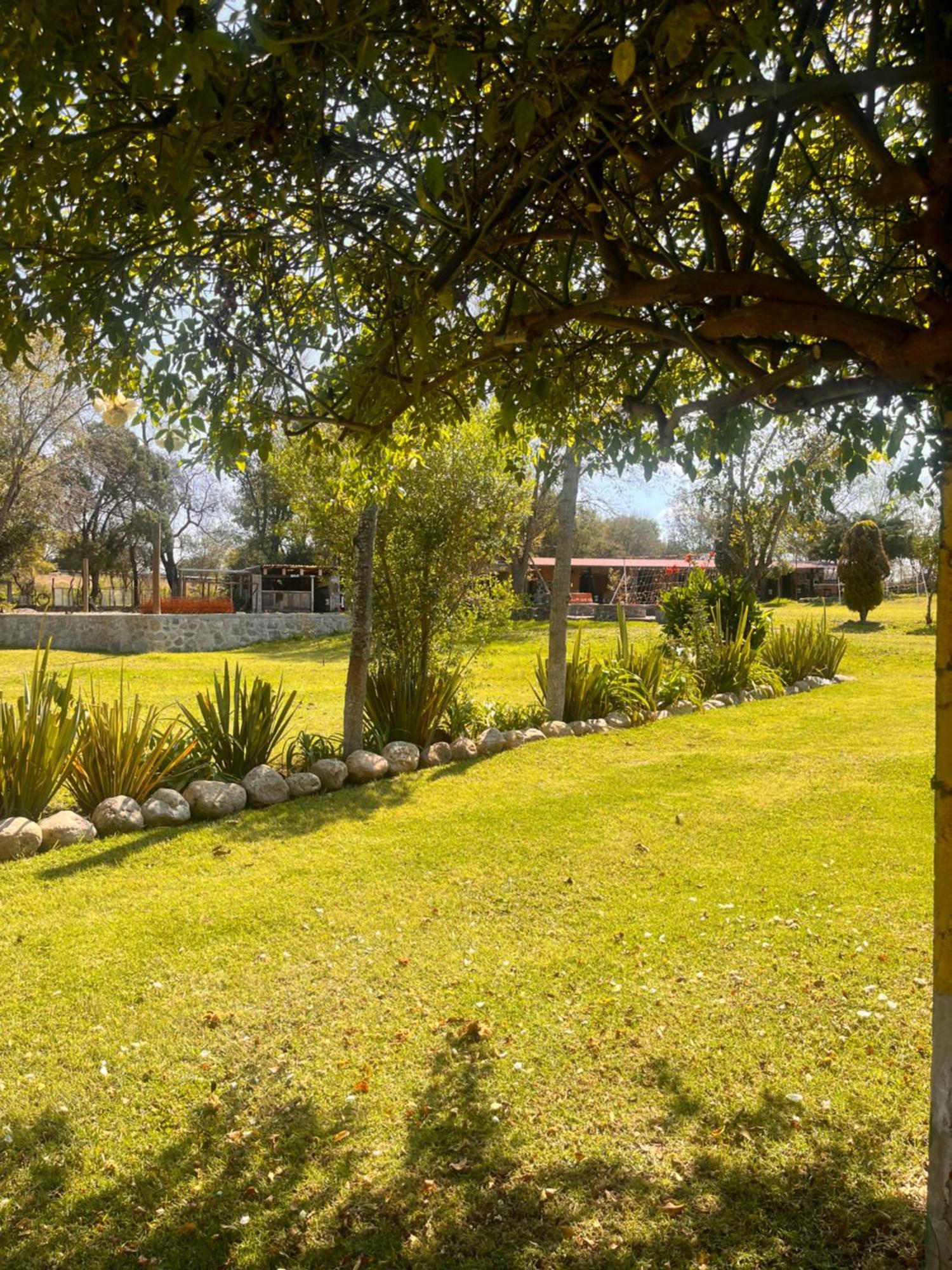 Cabanas Cumbres De Aguacatitla Huasca de Ocampo Extérieur photo