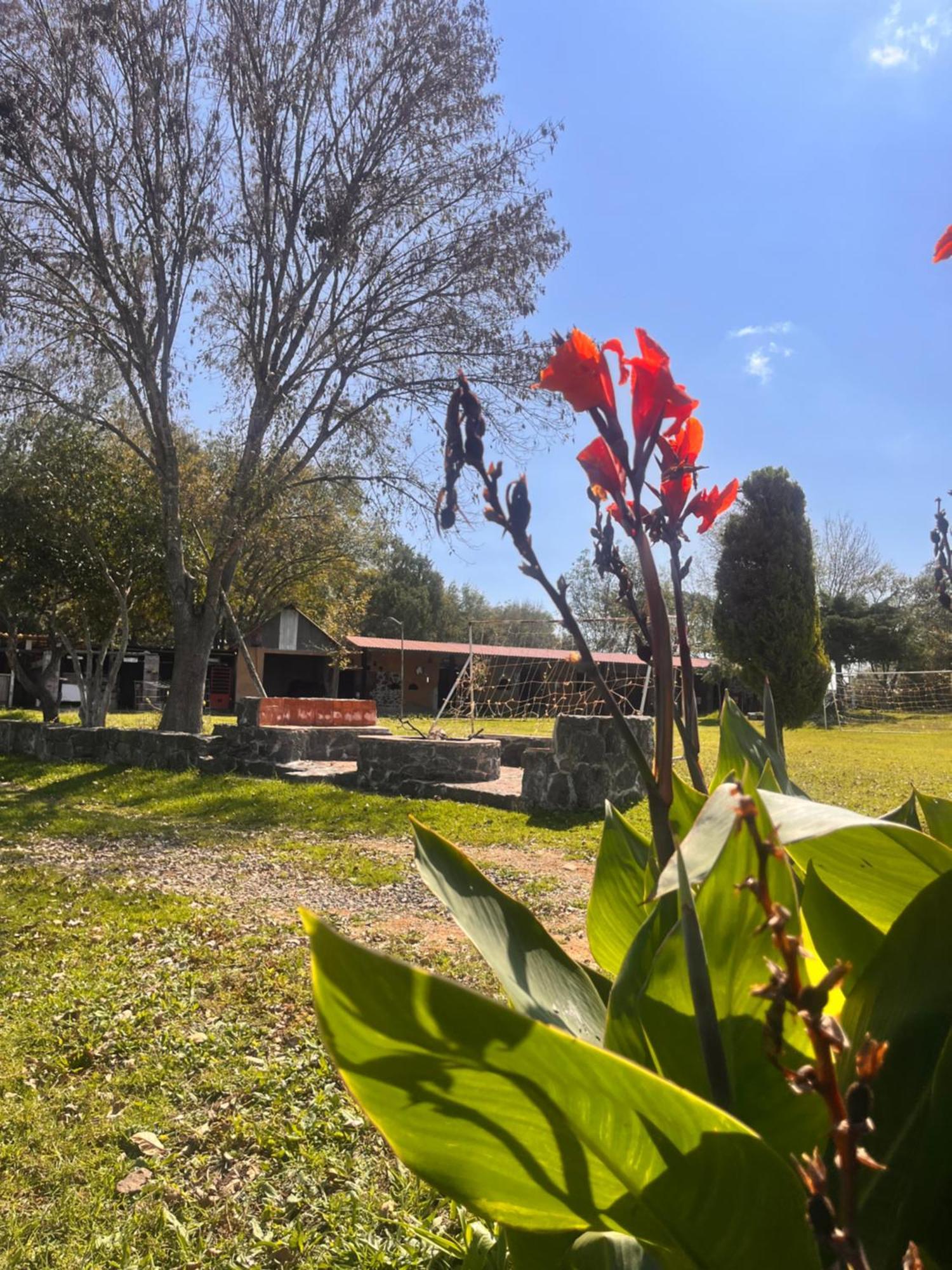 Cabanas Cumbres De Aguacatitla Huasca de Ocampo Extérieur photo