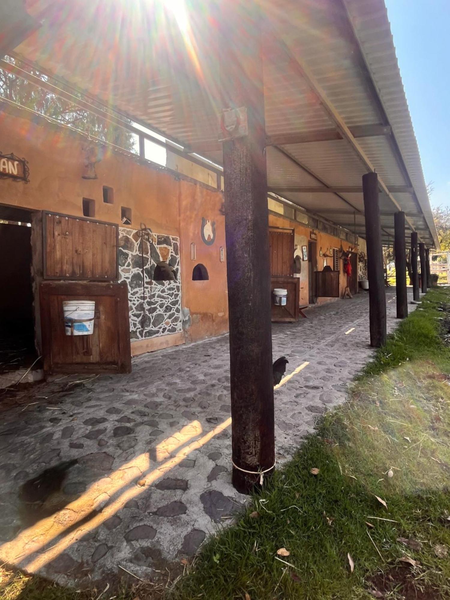 Cabanas Cumbres De Aguacatitla Huasca de Ocampo Extérieur photo