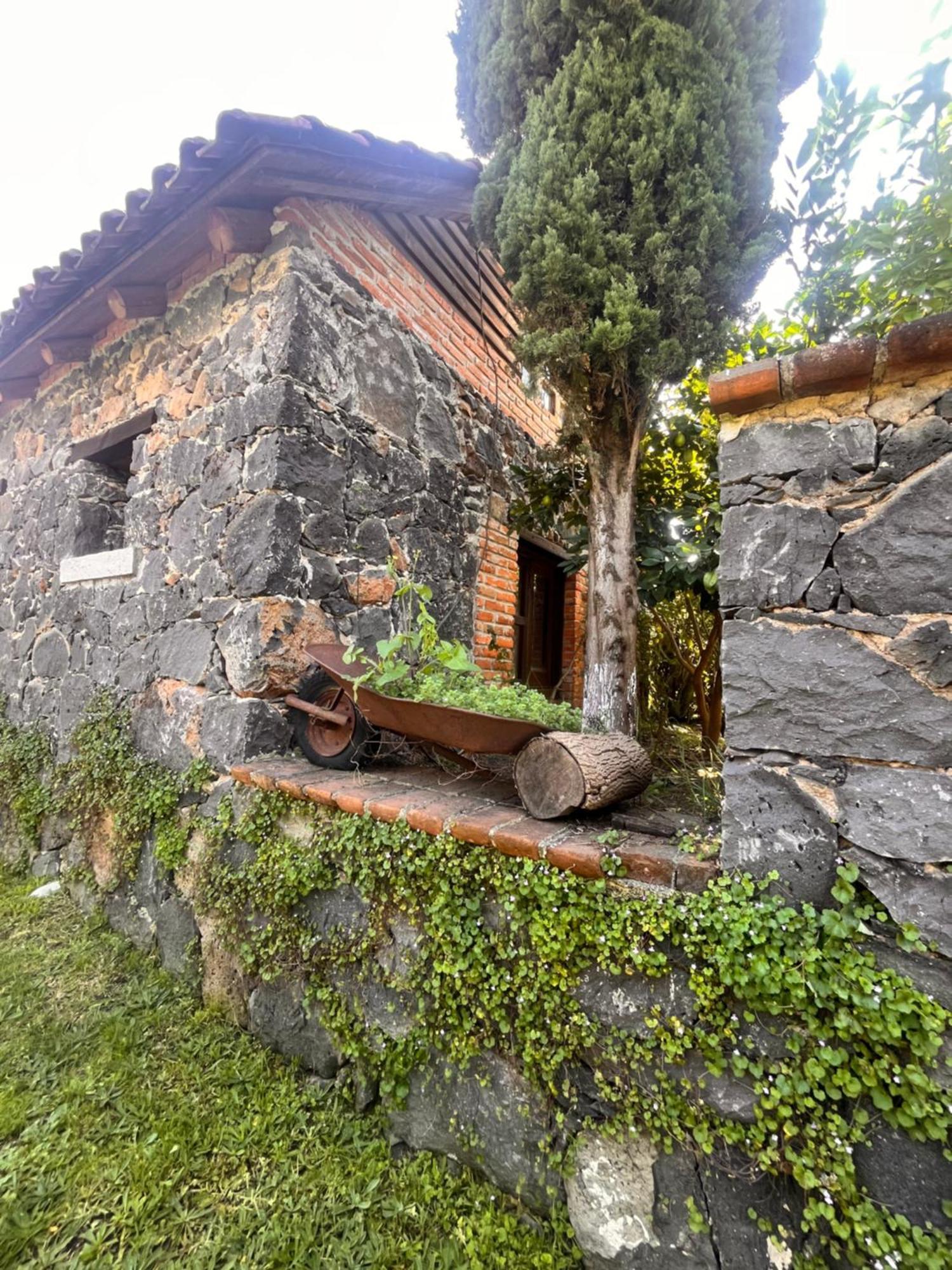 Cabanas Cumbres De Aguacatitla Huasca de Ocampo Extérieur photo